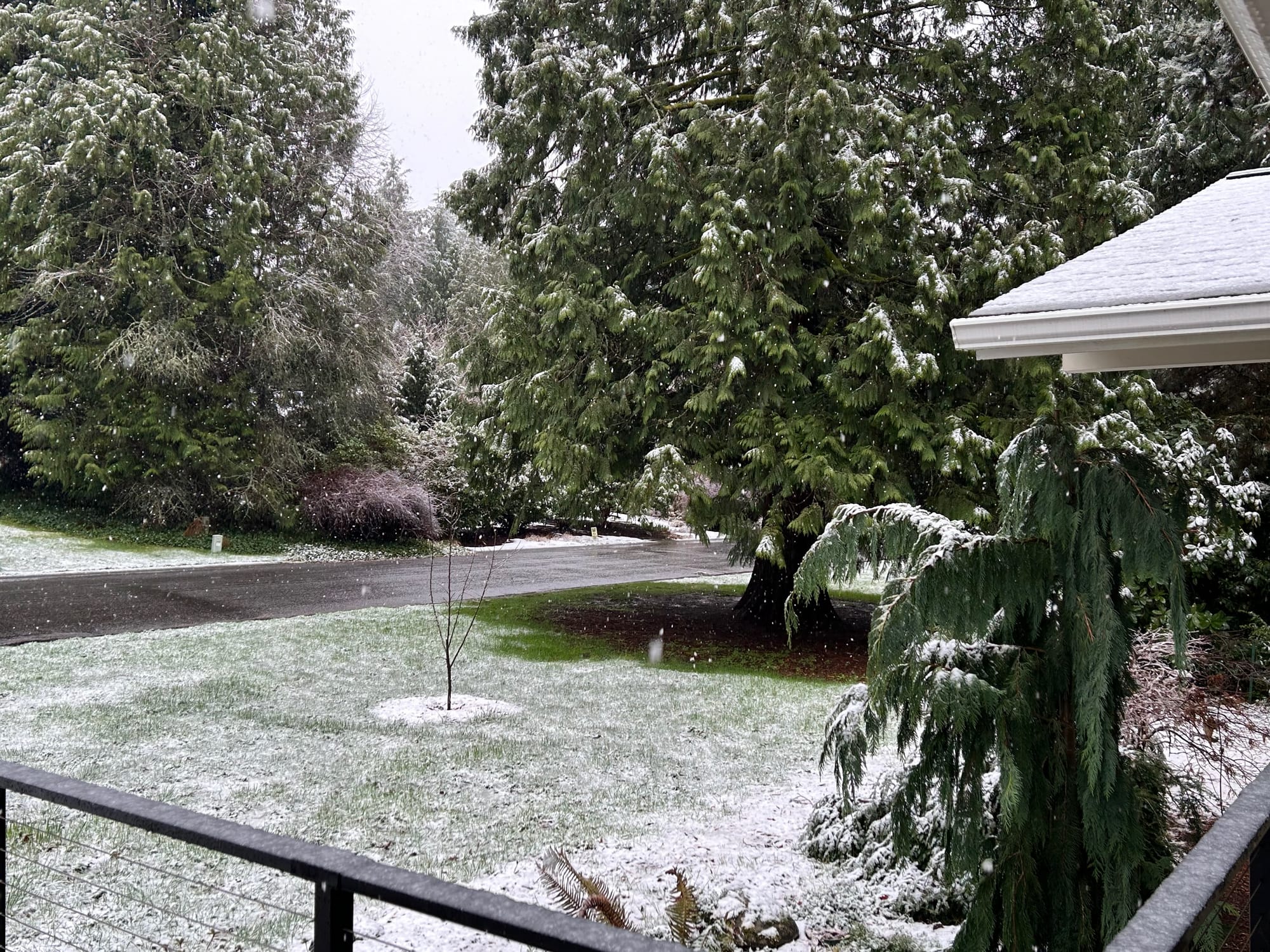 There's snow on the ground and trees looking off a front porch on a quiet street, and snow is falling in large flakes.